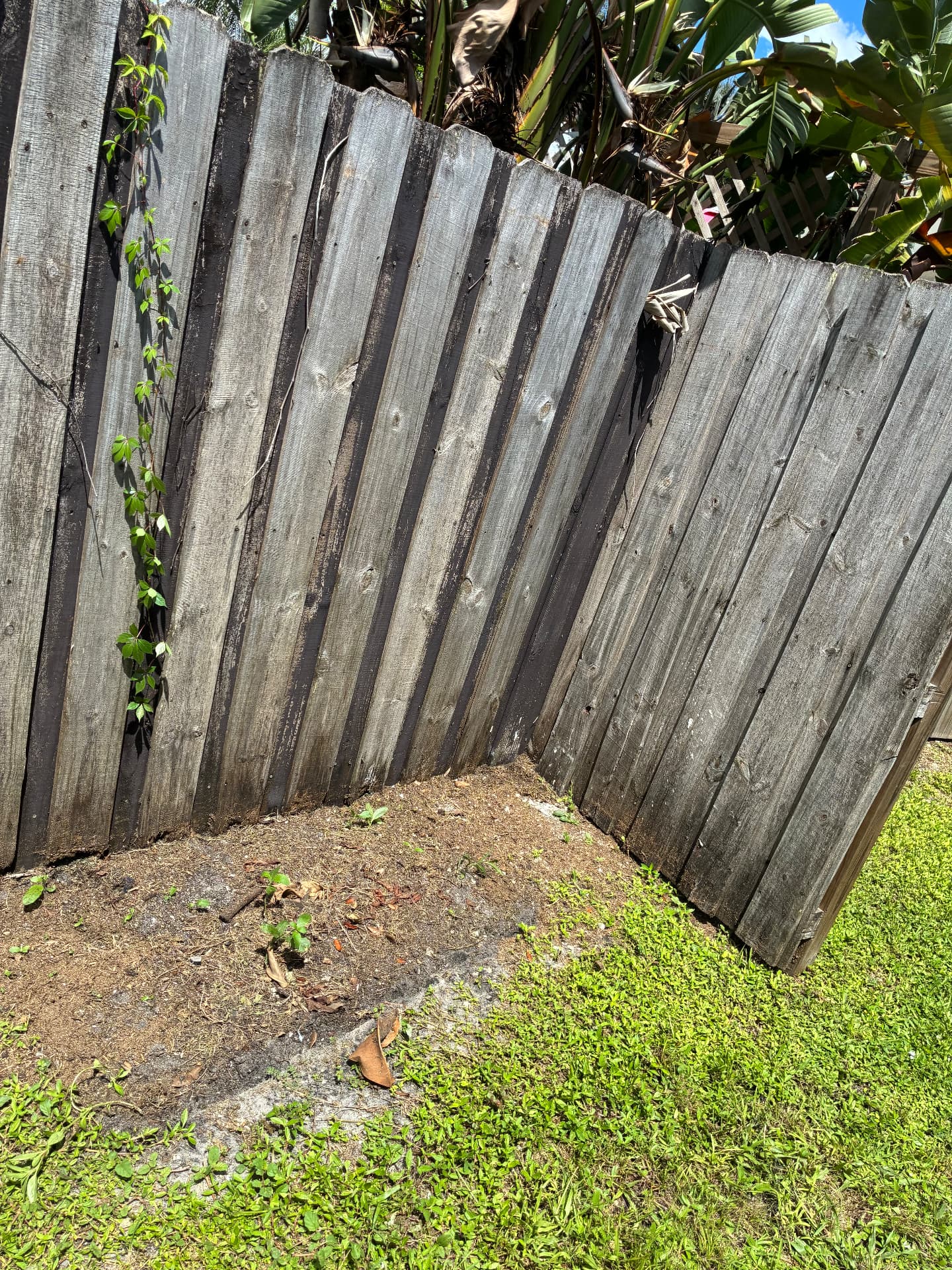 Before and after junk removal: a detached weathered wooden gate section removed and the fence corner swept clean by All Out Rubbish (after)