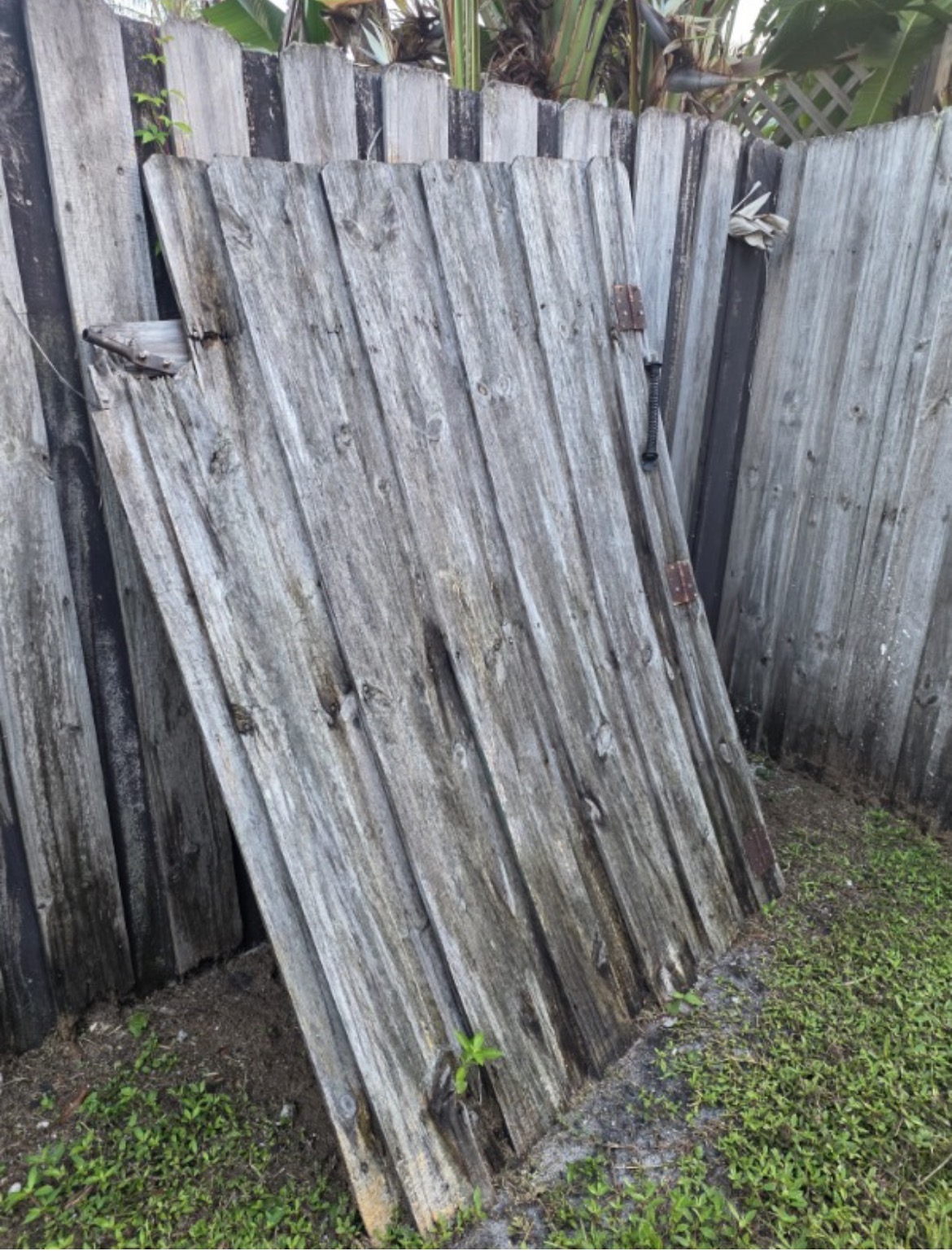 Before and after junk removal: a detached weathered wooden gate section removed and the fence corner swept clean by All Out Rubbish (before)