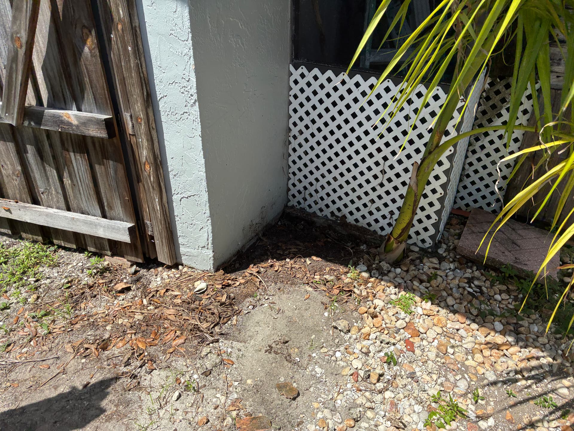 Before and after junk removal: construction tiles, lumber, buckets and a ladder cleared from against a house wall by All Out Rubbish (after)