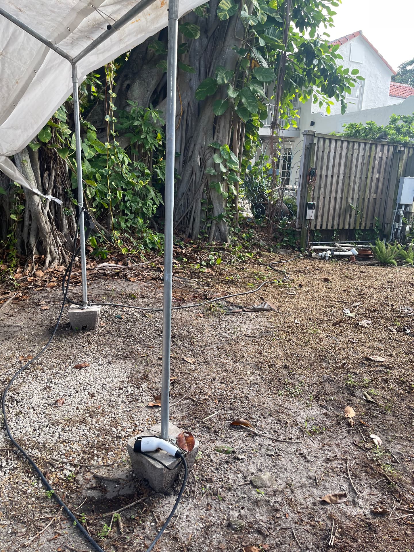 Before and after junk removal: scrap wood, lumber and tools cleared from a tree base by All Out Rubbish (after)